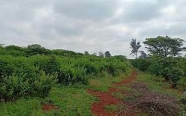 Land at Gathambara
