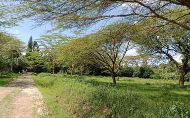 Land at Roysambu
