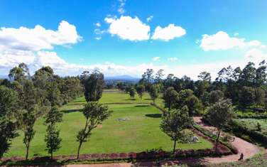 0.125 ac Residential Land in Rironi