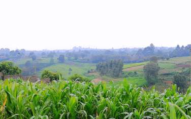 Residential Land in Tigoni