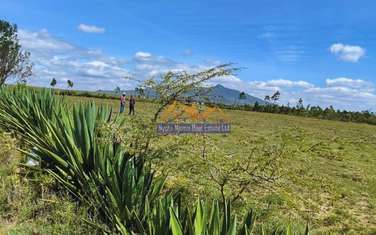 0.045 ha Land at Naivasha