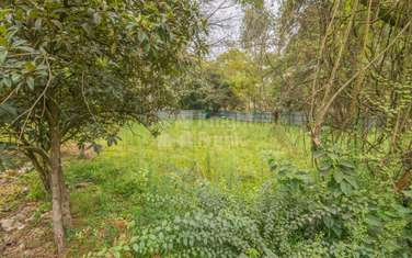 0.75 ac Land at Amboseli Lane