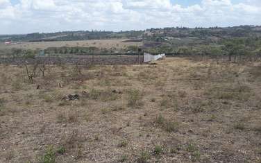 1 ac Residential Land in Kiserian