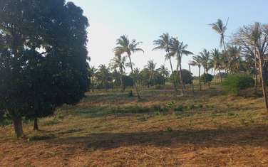 Land at Mavueni Kaloleni Road