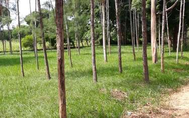 40,470 m² Commercial Land in Malindi
