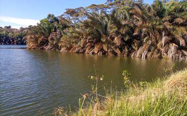 1 ac Land at Karamaini Estate