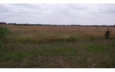 50 ac residential land for sale in Syokimau