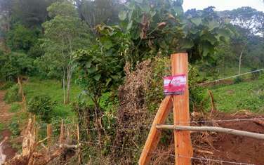 0.25 ac Land at Nyeri