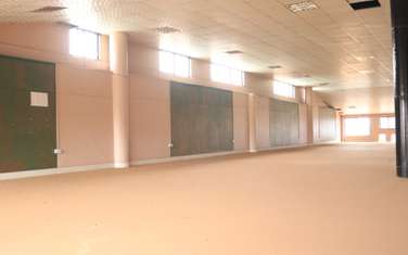 202 ft² office for rent in Thika