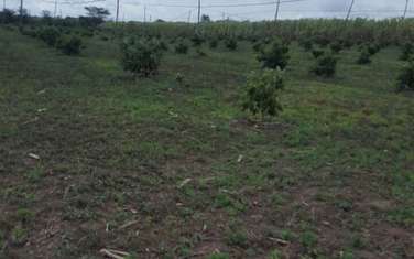 736,554 m² Land in Narok