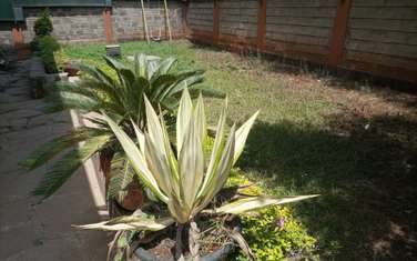 4 Bed Townhouse with En Suite in Kileleshwa