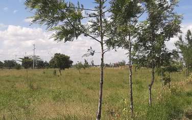 29 ac Commercial Land in Kitengela