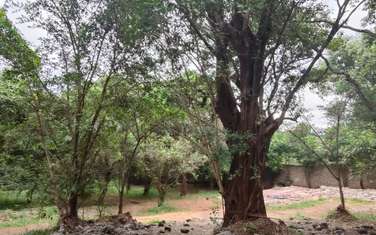 Residential Land at Hardy