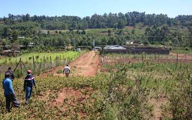 0.25 ac Residential Land at Gitutha Area