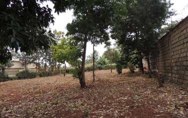 0.5 ac Residential Land at Jacaranda Close