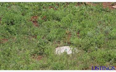 Residential land for sale in Machakos
