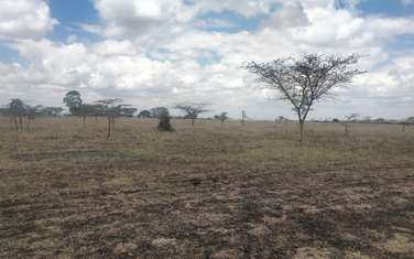 29 ac Land at Namanga Basil