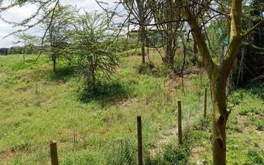 0.005 ac Residential Land at Kedong Ranch