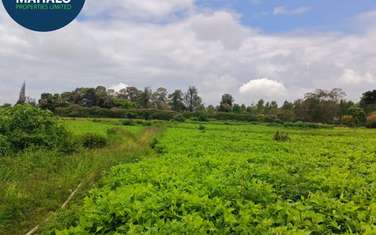 0.25 ac residential land for sale in Thika