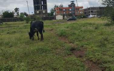 1.25 m² Land at Eastern Bypass