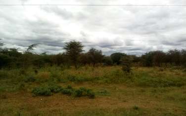153 ac land for sale in Namanga