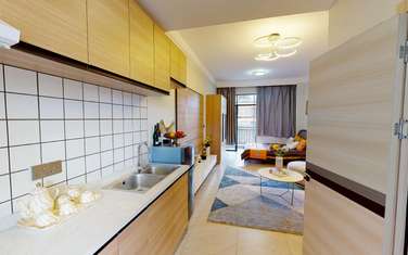 Studio Apartment with En Suite at Ruaka Town