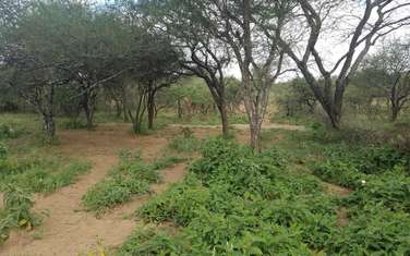 Land for sale in Bisil