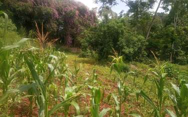 4046 m² residential land for sale in Thigiri