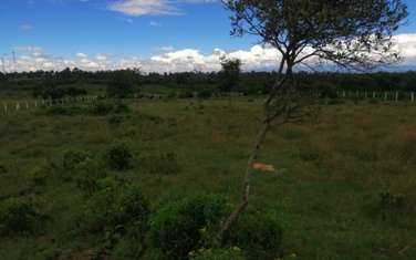 5,000 m² Land at Nanyuki Mount Kenya View