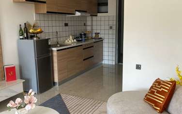 Serviced Studio Apartment with En Suite in Ruaraka