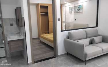 Serviced 1 Bed Apartment with En Suite at Argwings Kodhek Road