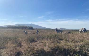 120 ac Land in Longonot