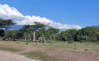 Land at Ireri (Olpajeta)