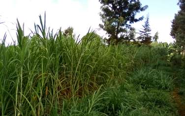 0.75 ac Residential Land at Wangige