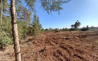 0.125 ac Residential Land at Ngenia