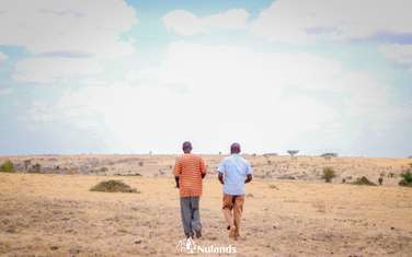 Land at Olasiti