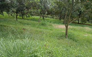 0.5 ac Land at Thika Grove Chania-Opposite Blue Post Hotel