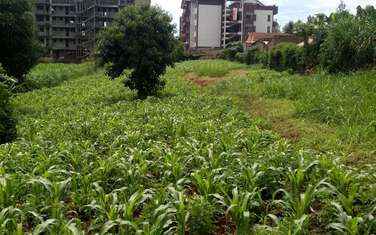  3035 m² land for sale in Ruaka