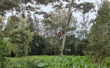 Land at Ngong