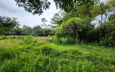 1 ac Land in Kitisuru