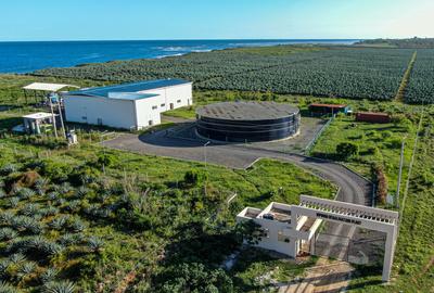 Land in Vipingo - 2