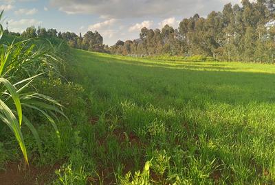 Land at Kibirichia