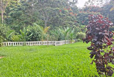4 Bed Townhouse with En Suite at Rosslyn Lone Tree Estate Rd - 2
