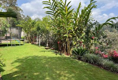 Furnished 2 Bed Apartment with En Suite in Kitisuru - 3