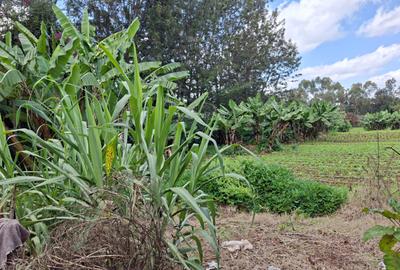 0.5 ac Land in Karen - 4