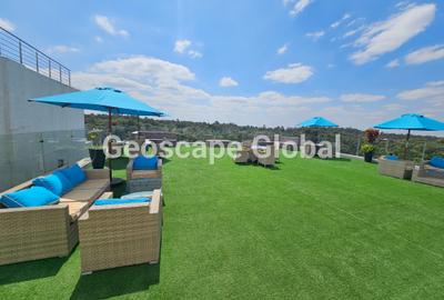 4 Bed Apartment with En Suite in Spring Valley - 4