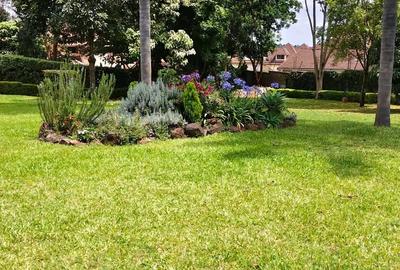 5 Bed Townhouse with En Suite in Runda - 3