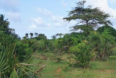 Land at Tiwi Near Diani South Coast - 4