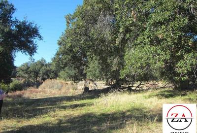 5 ac Land in Kitisuru - 3