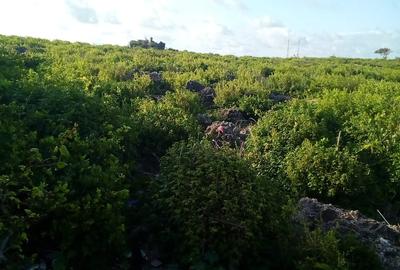 8 ac Commercial Land at Jacaranda - 2